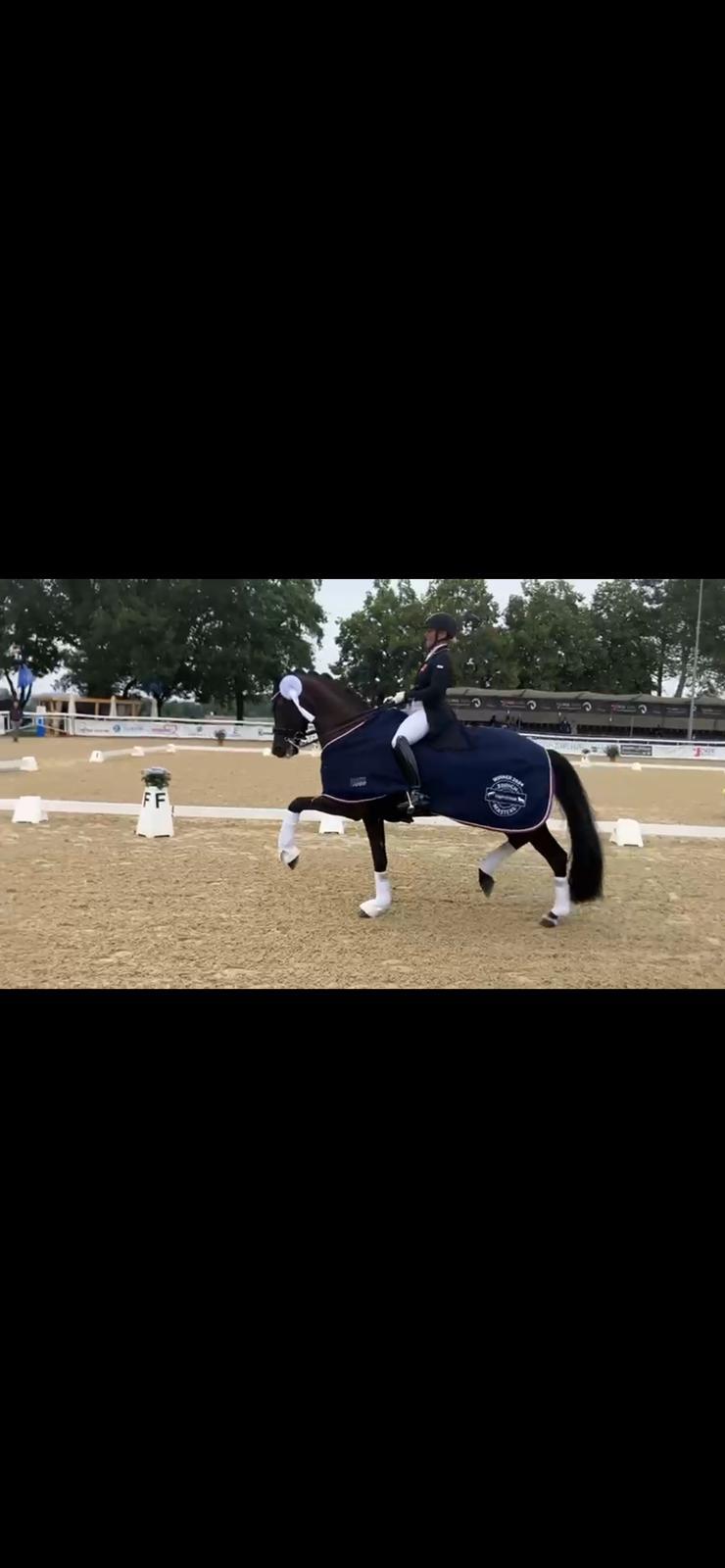 Zurich Equestrian Masters -  - Dressage Masters 2025