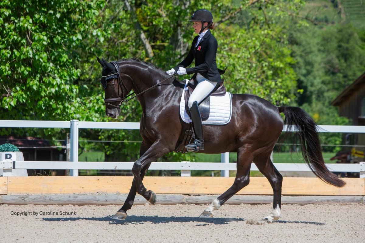 Zurich Equestrian Masters -  - Para-Dressage Masters 2025